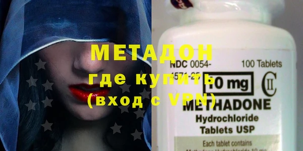 прущие грибы Елизово