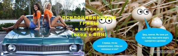 spice Осташков