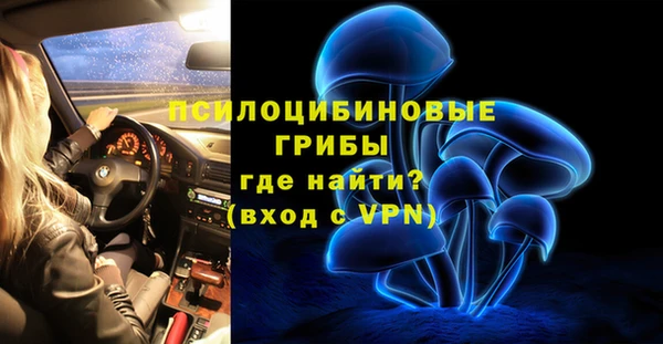 прущие грибы Елизово