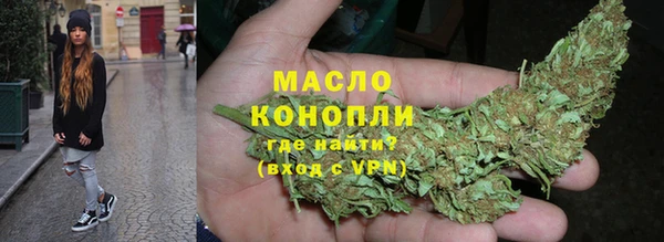 СК Гатчина