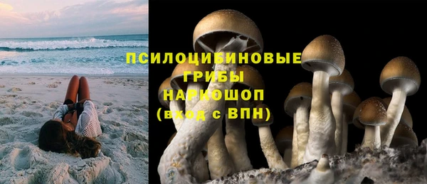 мдпв Осинники