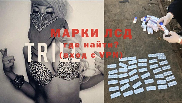 трава Гвардейск