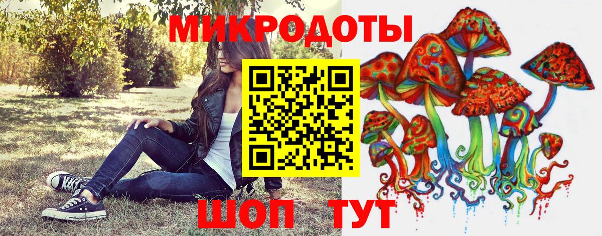 Псилоцибиновые грибы Psilocybine cubensis Кореновск