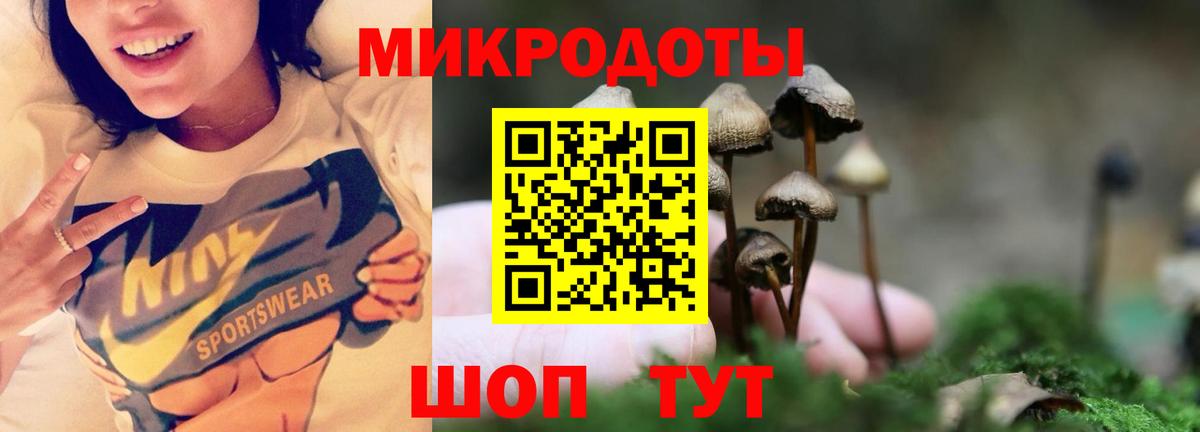 Галлюциногенные грибы Cubensis Кореновск