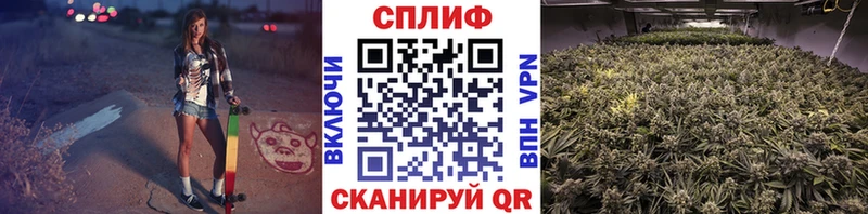 Шишки марихуана план Кореновск